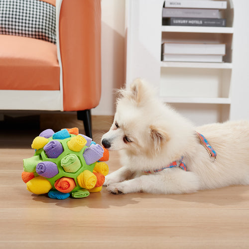 Dog Sniffing Ball Puzzle Toys